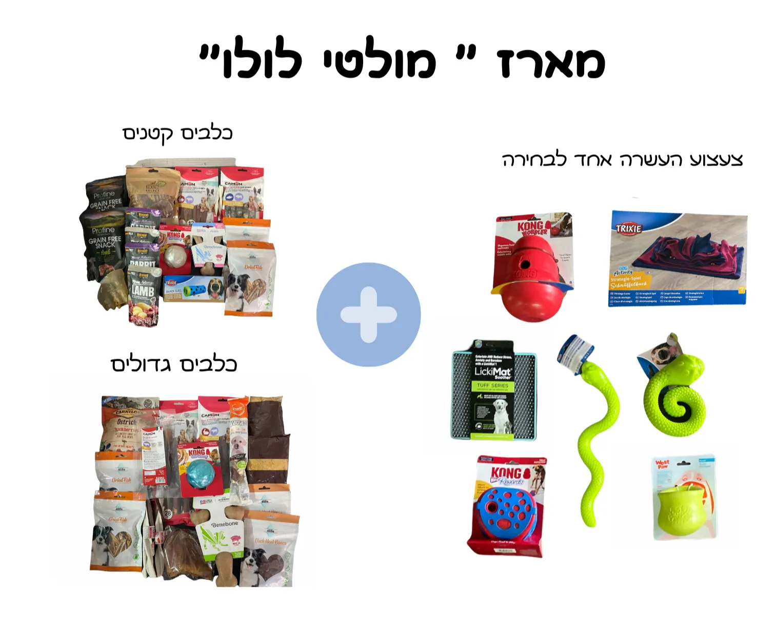 מארז מולטי לולו
