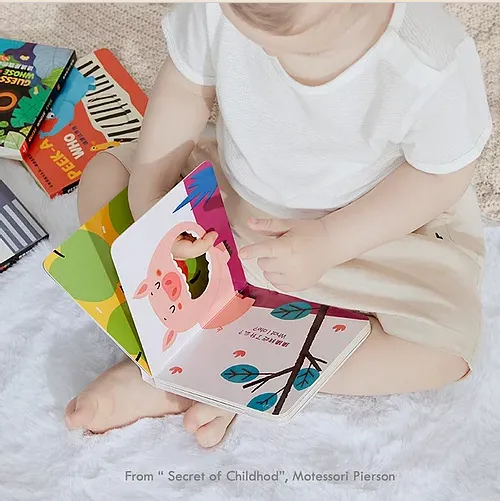 Babycare Peek A Flap Book (4 Sets)