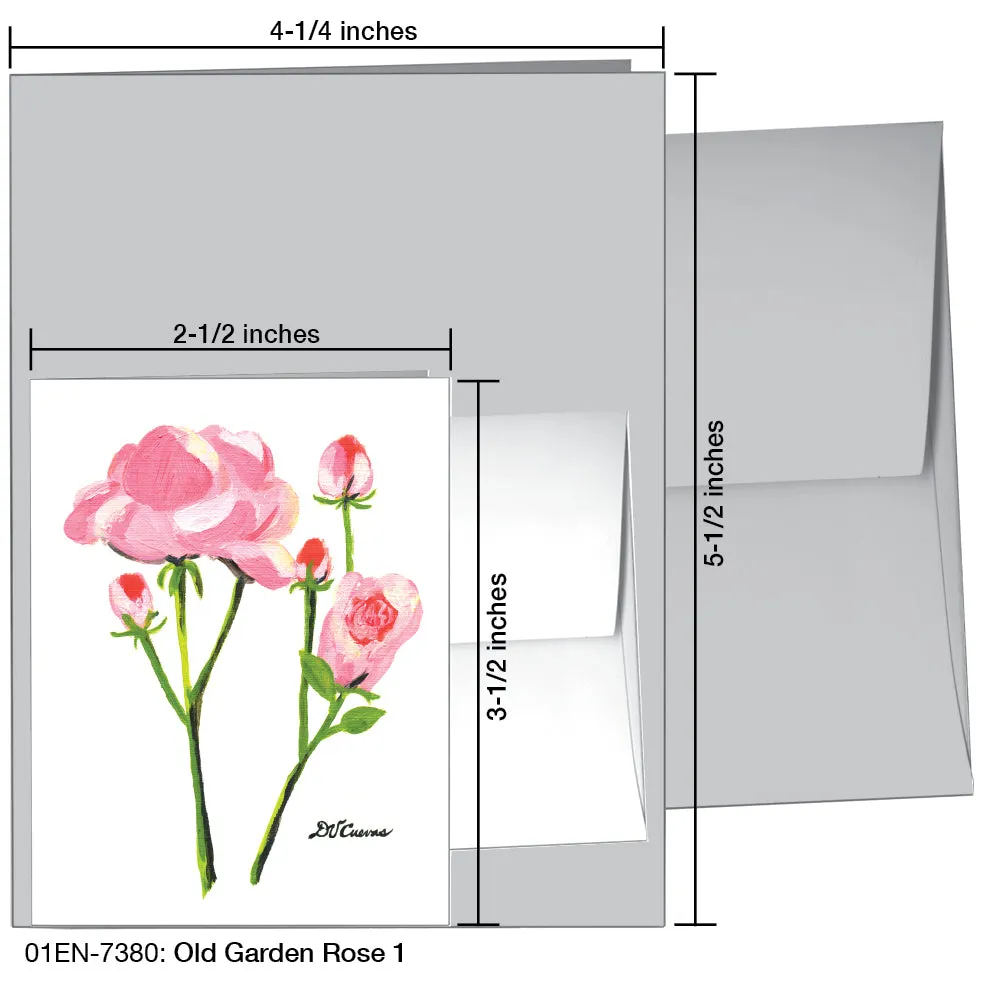 Old Garden Rose 1, Greeting Card (7380)