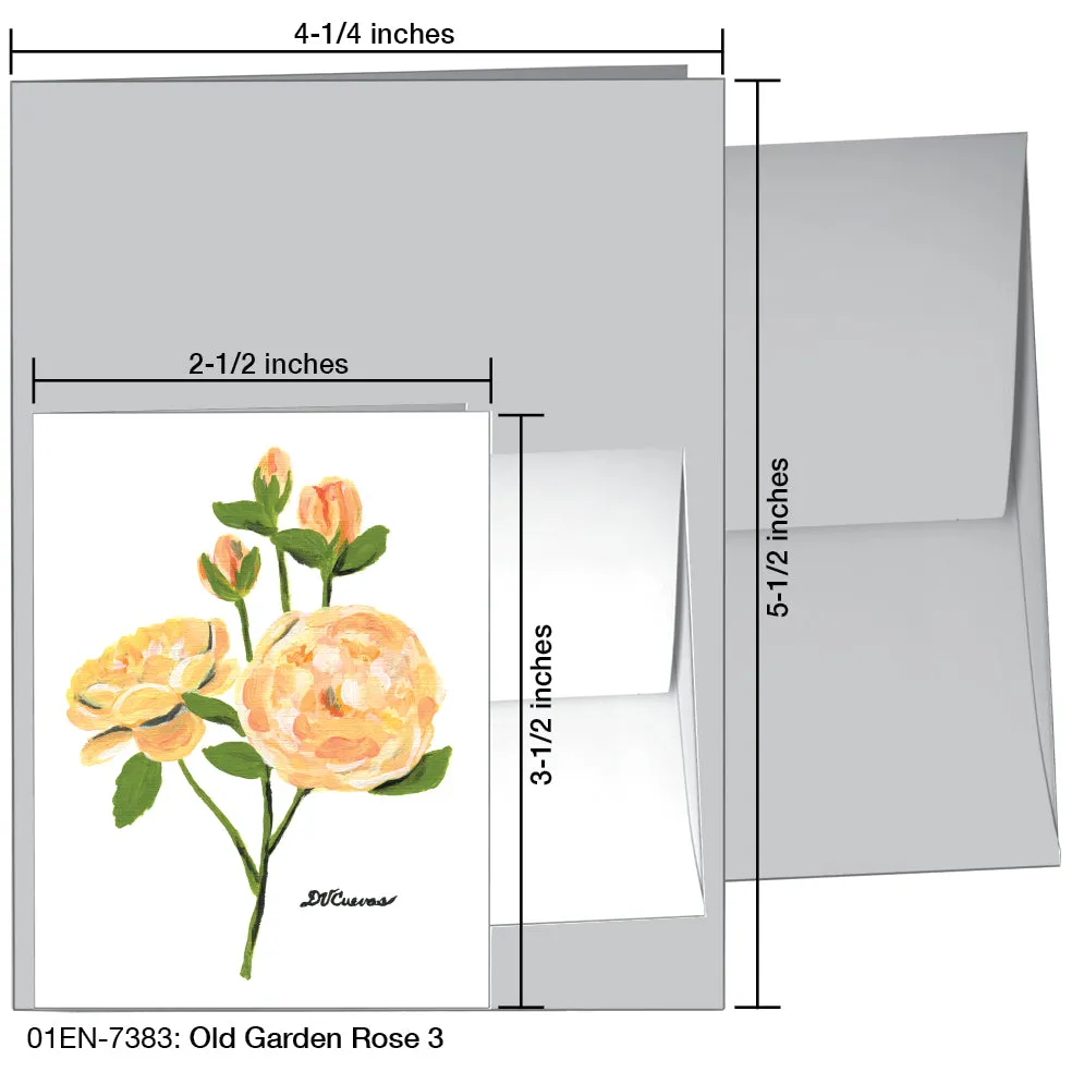 Old Garden Rose 3, Greeting Card (7383)