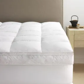 Pillowtop Down Featherbed by Scandia Home
