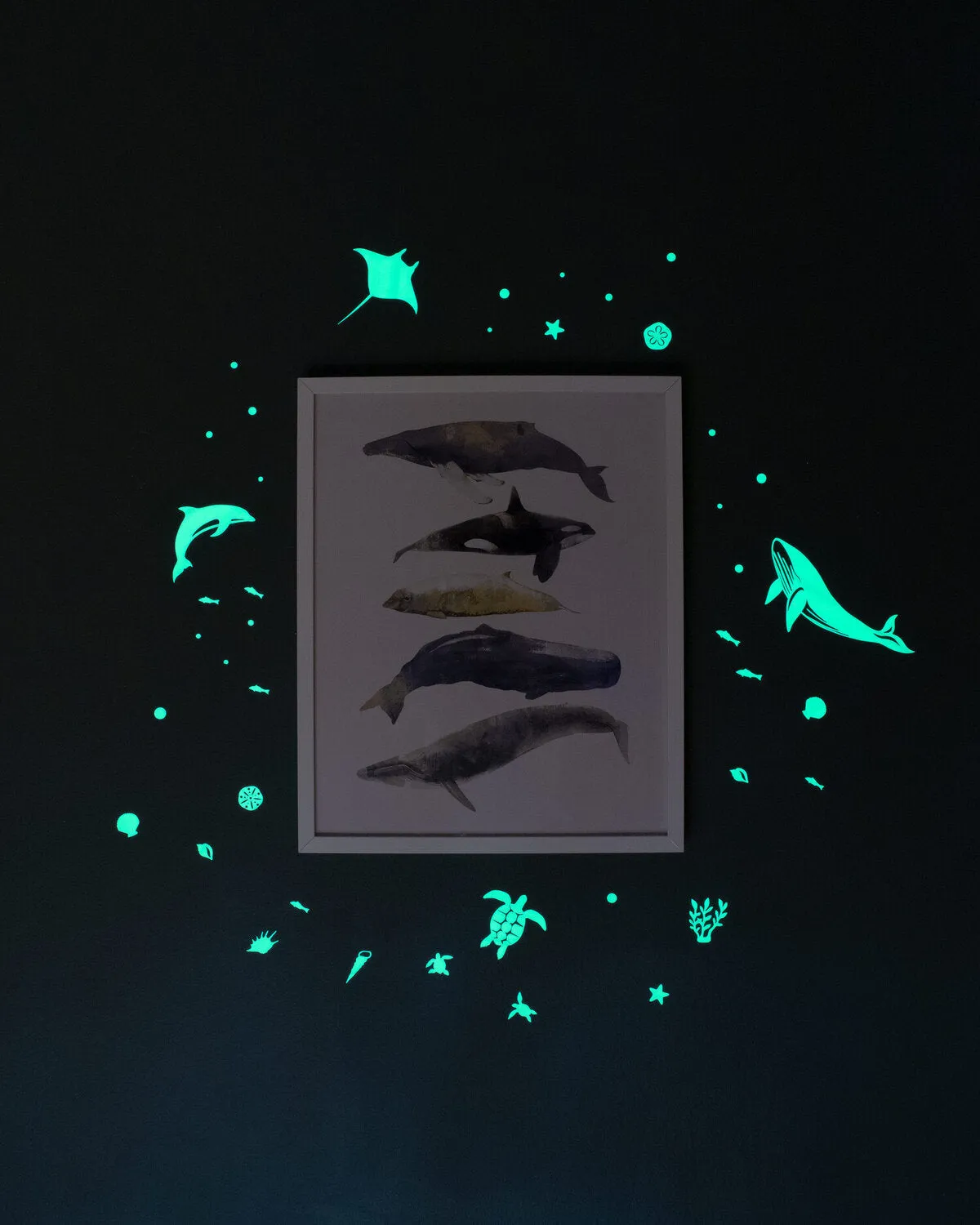 Sea Animal Glow Wall Stickers
